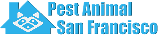 San Francisco Wildlife and Animal Removal